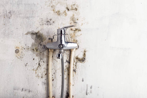 Best Mold Remediation for Specific Building Types in Eagle Pass, TX