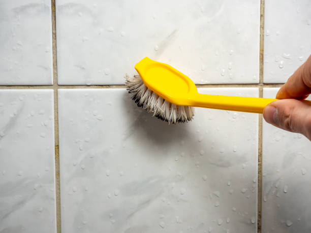 Best Bathroom Mold Remediation in Eagle Pass, TX