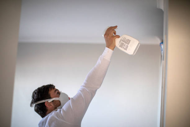 Best Emergency Mold Remediation in Eagle Pass, TX