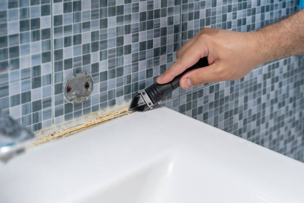 Best Residential Mold Remediation in Eagle Pass, TX