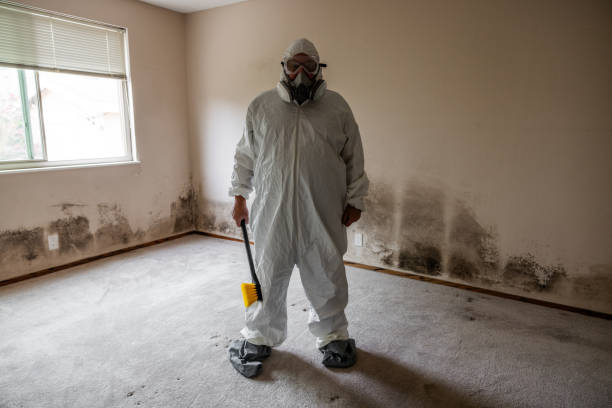 Reliable Eagle Pass, TX Mold Remediation Solutions